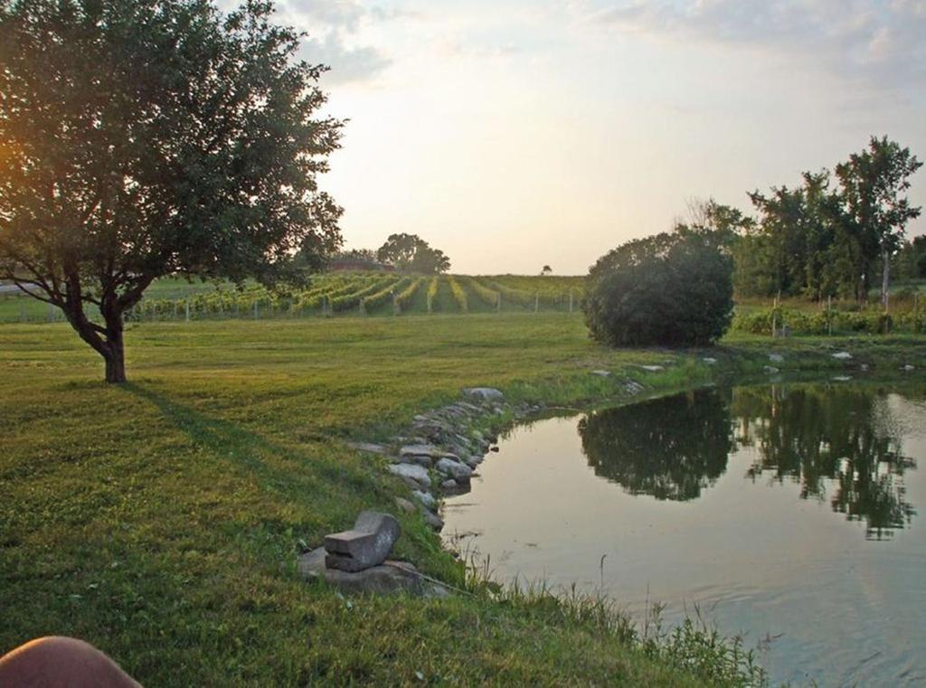 Cote St-Hermas Gite Au Vignoble Mirabel Exterior foto